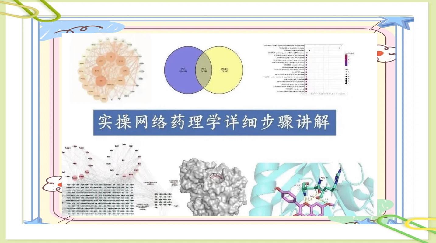 药材网技术指南，让数据分析与精准营销更上一层楼