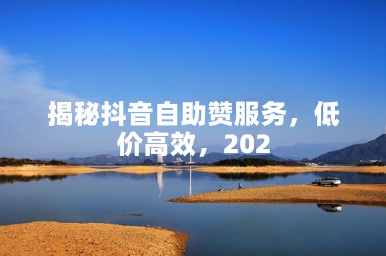 投资建议，如何高效利用抖音赞自助下单进行销售