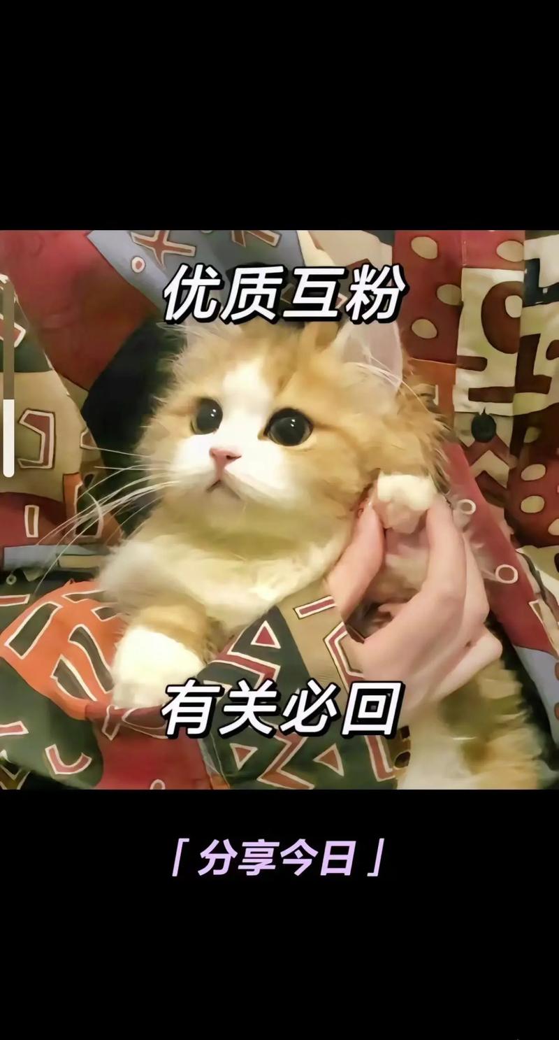 生成技术，如何高效利用dy刷人机死粉？