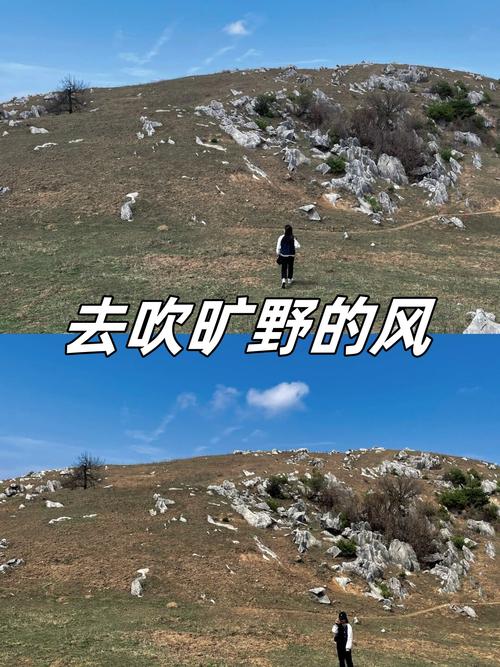 逃离电脑版,寻找另一种生活方式