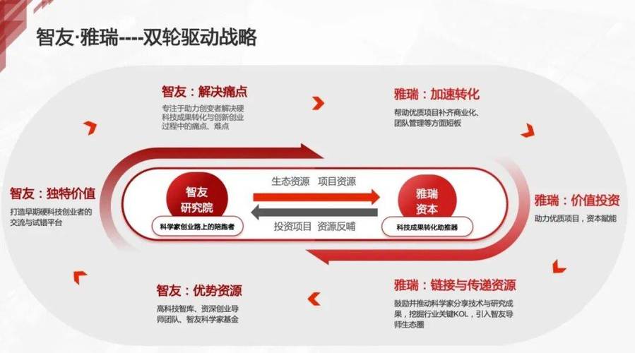 网络信息公司的生存之道，从策略到机遇的双轮驱动