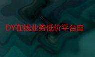dy业务低价自助下单平台软件，让直播购物更高效