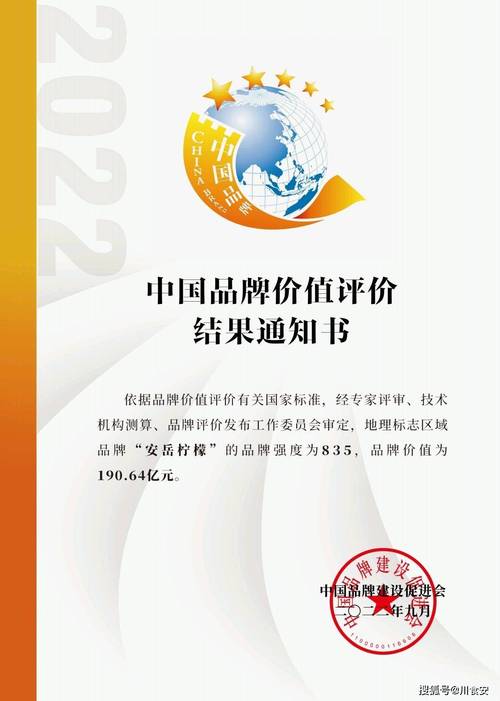 安岳网络推广公司,助力您的网络推广之旅