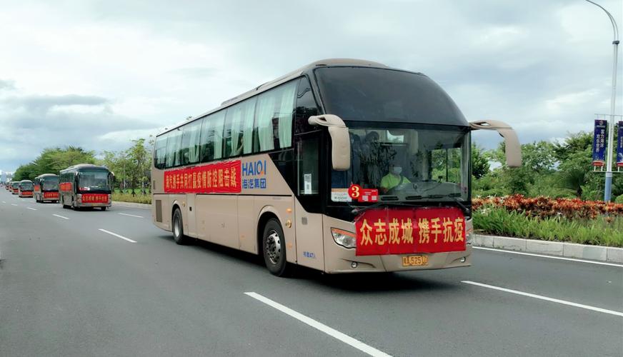 铃水疫情最新动态，防控指南与信息分享