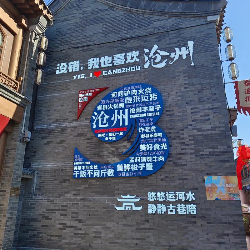 沧州推一推网络,助力你的旅游与生活优化