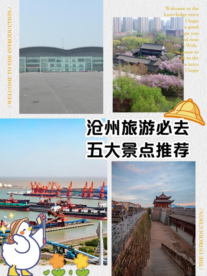 沧州推一推网络,助力你的旅游与生活优化