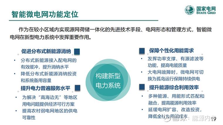 深度解析,微 网公司,互联网时代的选择与未来展望