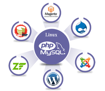 推荐河北Best Website Build Services in 223