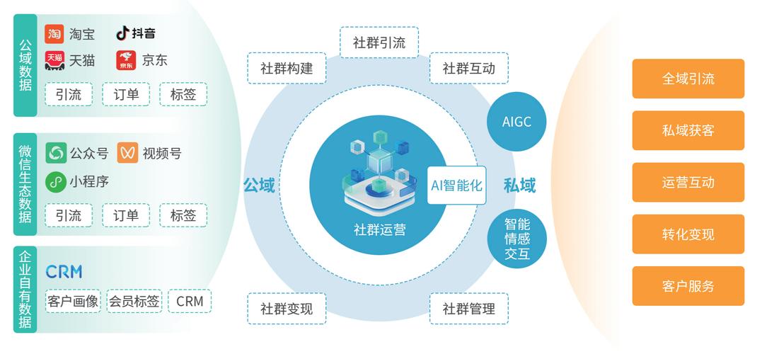 网络平台公司搭建,从需求分析到运营管理的指南