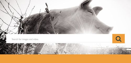 Profit Your Blog with a Budget Plan