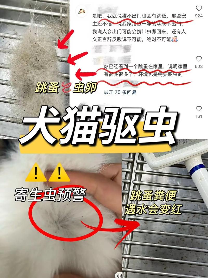 蚤蚓养殖疫情最新消息,从疫情到市场,Everything You Need to Know!