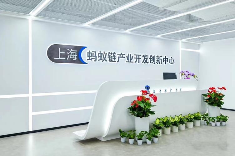 上海网络科技，数字时代的见证者与创新者