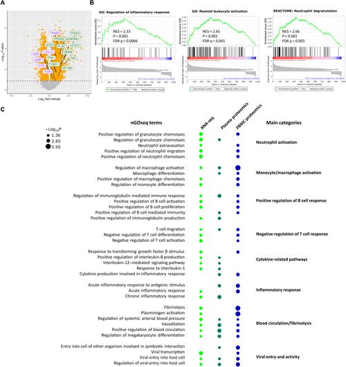 海吉亚疫情最新动态,infected cases、死亡人数和最新进展