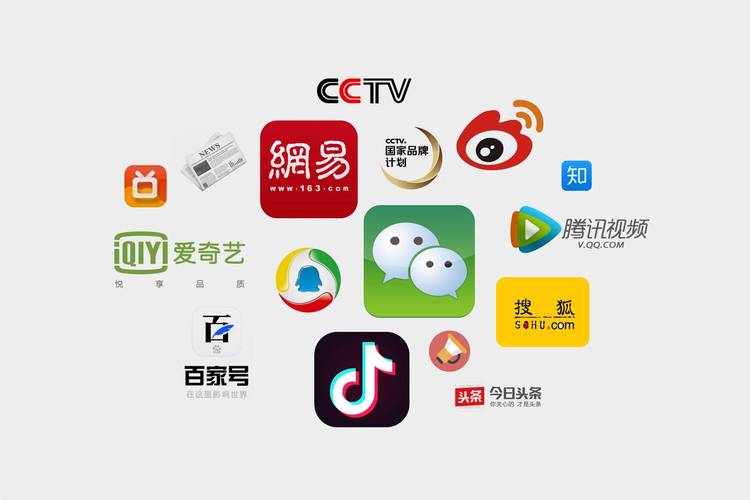 小红书与抖音点赞评论自助平台,如何高效利用这些平台提升账号表现