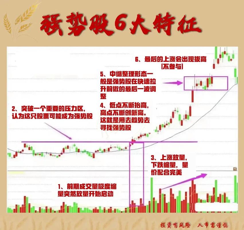 炒股电脑配置,掌握其精髓,让你的炒股更上一层楼