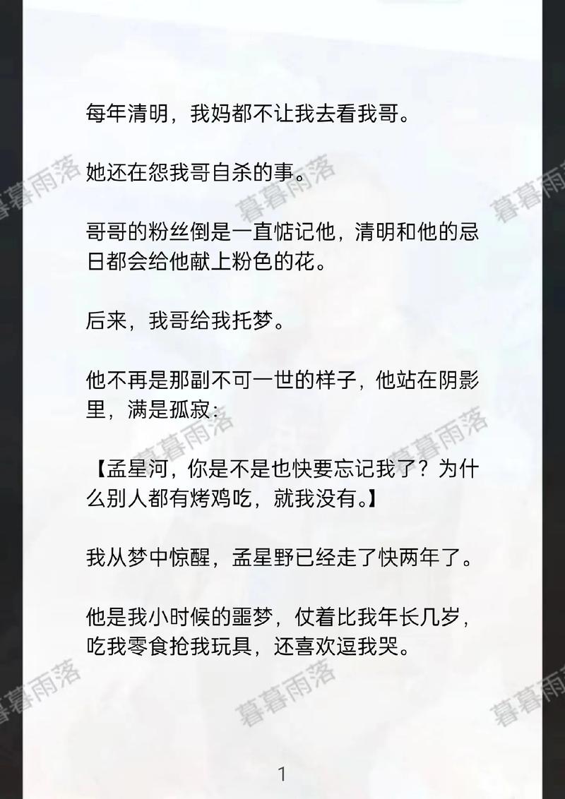 抖音死粉代的解决方案，选择适合的播放器