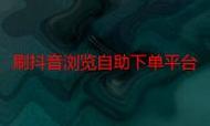 抖音双击秒与dy自助平台,实用指南