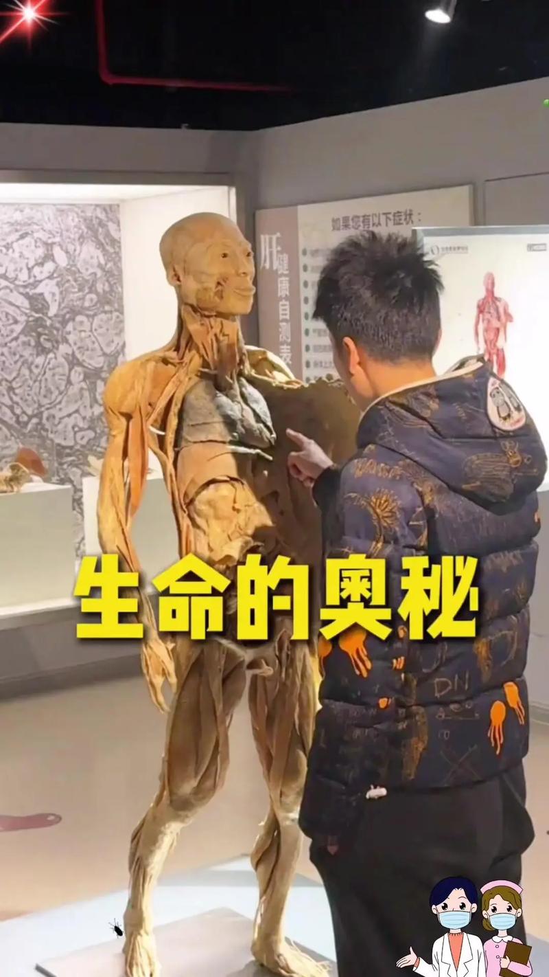 美食如何成为抖音的神龙代,从有钱到无钱的真相