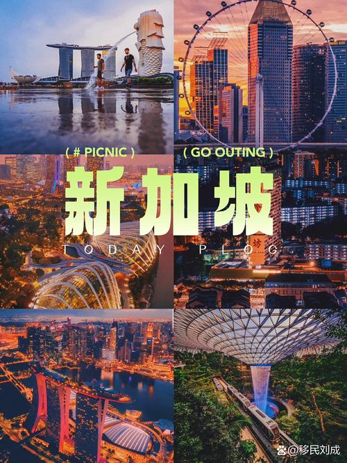 新加坡网站建设，成功案例与未来趋势