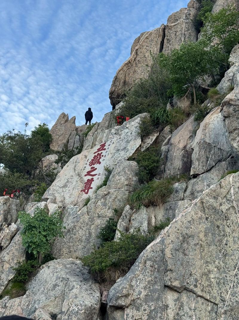阳光下的泰山，疫情后期的未来展望