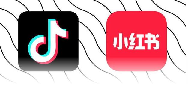 抖音刷赞平台，专业推广，精准转化，助力短视频行业增长