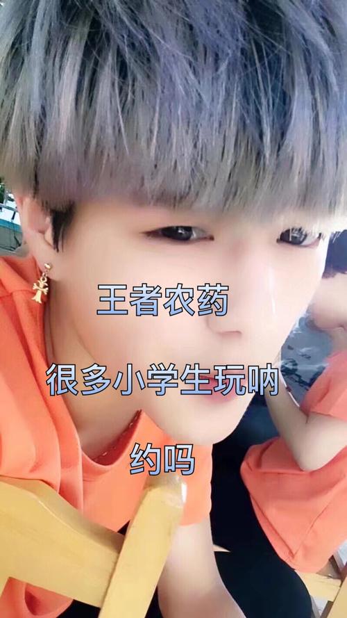 快手评论的重要性,从评论优化内容的智慧