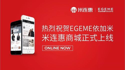 西安微商城网络公司,助力智慧生活的创新解决方案