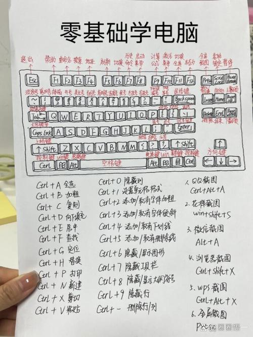 电脑入门指南，老年人轻松掌握！