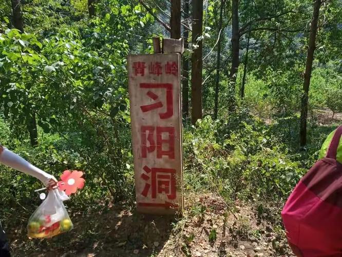 襄阳熊河疫情最新消息指南
