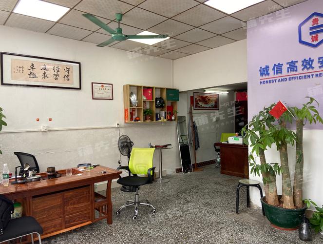 塘厦网络公司，技术领先，服务贴心，助力企业高效运营