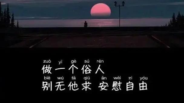 抖音点赞、抖音赞、云笙，你的短视频完全解码