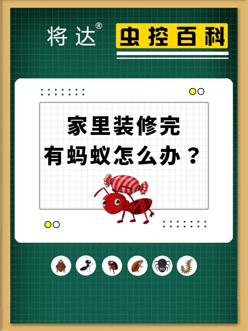 如何在抖音上买到放心的蚂蚁秒杀