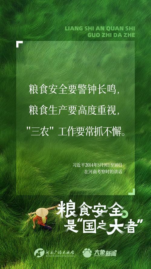 米粮安全，守护人民群众生命安全