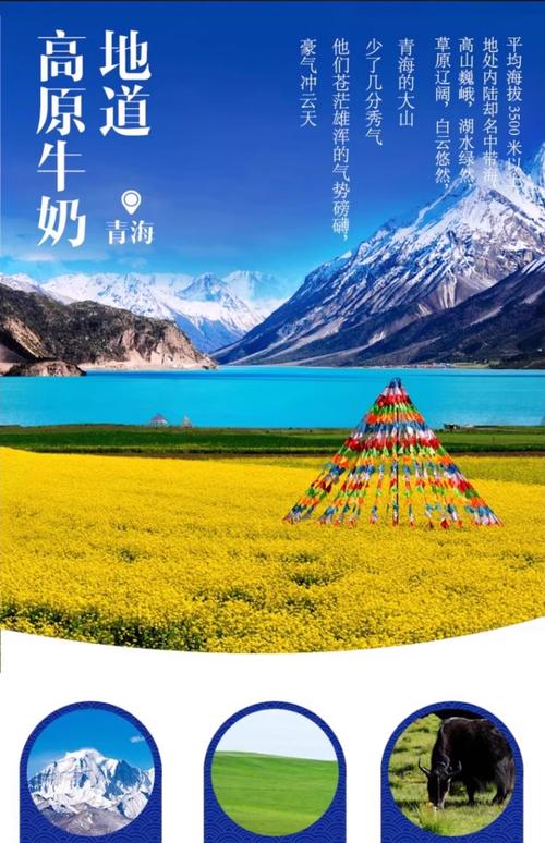 西藏酸奶,疫情中的守护者