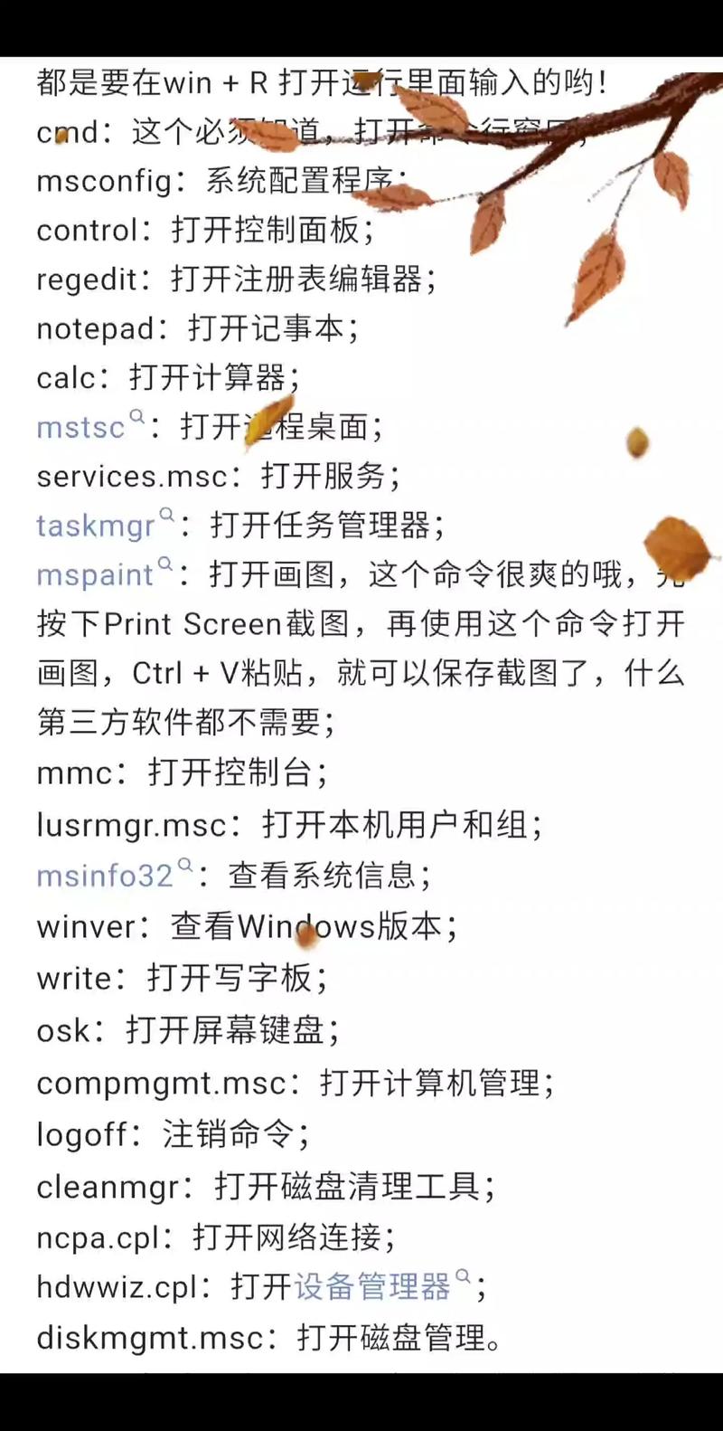 电脑命令全解析，让你的电脑更高效！