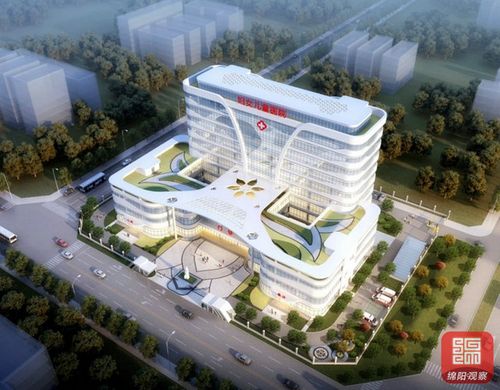 绵阳医院网站建设指南，让患者与患者相遇，与世界共舞