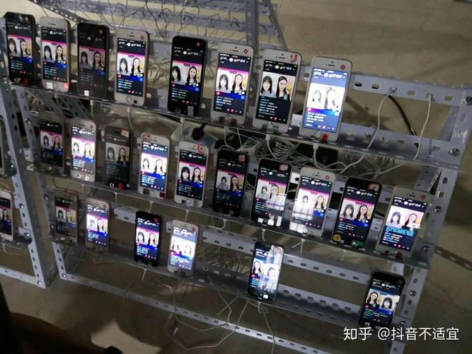 抖音秒刷网与蚂蚁网站,哪个更适合你的刷屏需求?