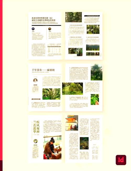 自媒体作者角色设定指南,提升文章排版与传播效率