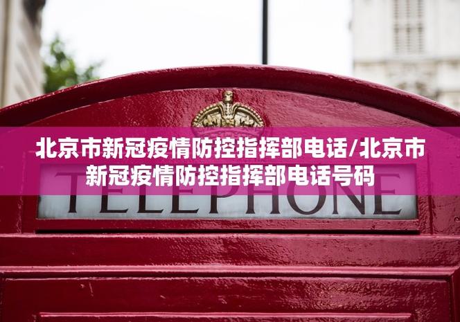 河北路附近疫情最新动态，关注重点与应对建议