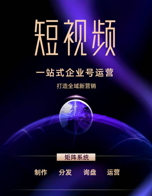 引言,短视频平台的快速崛起