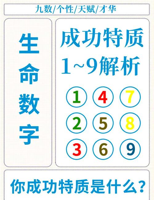 网红,数字生存的终极密码