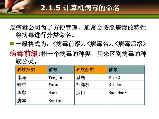 电脑病毒种类指南