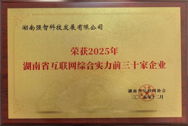 为网络需求助力,智创益阳网络公司,技术实力与优质服务并存