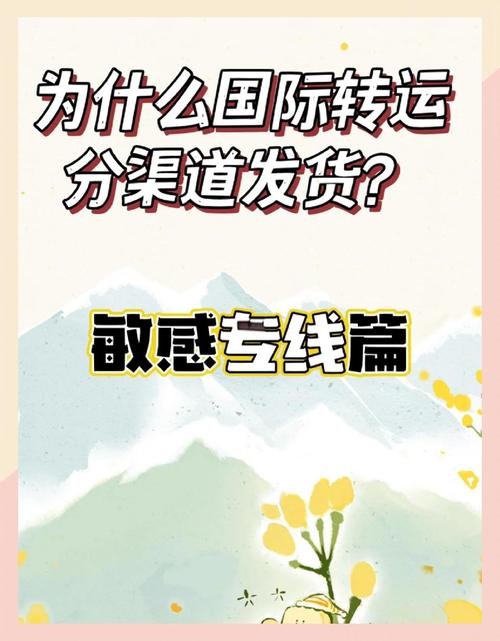 如何打造高效、安全的海外转运网站?指南与教学内容