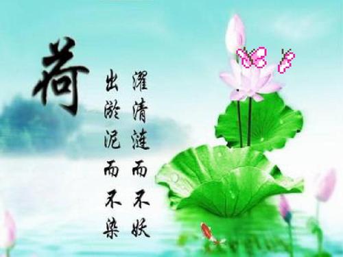 一、免费内容的利用