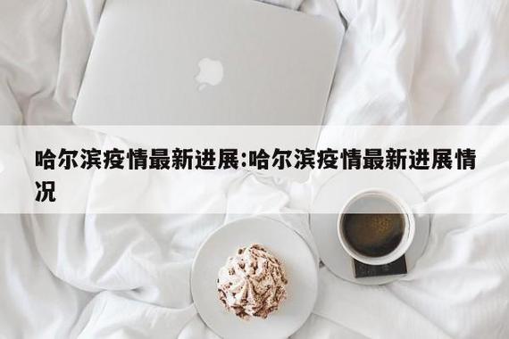 2日哈尔滨疫情最新消息，疫情监测进展、疫情对社会的影响及应对策略