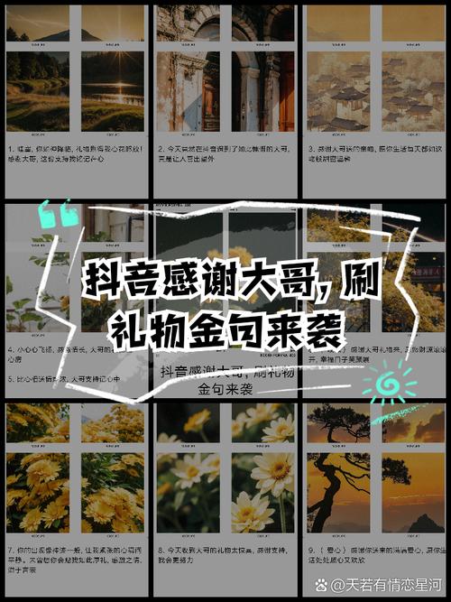 微信刷礼物,免费代刷礼物,轻松刷抖音礼物
