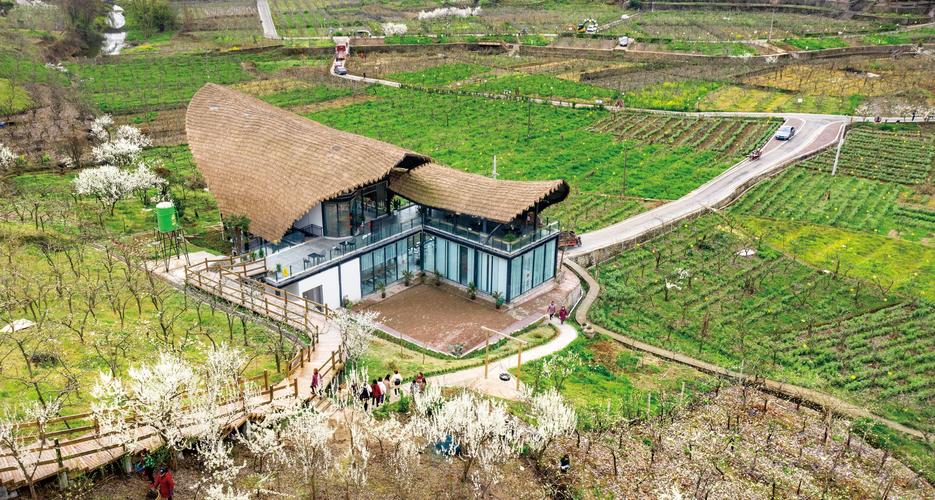 彭州实地调研,助力乡村振兴,打造高效 Plain网站
