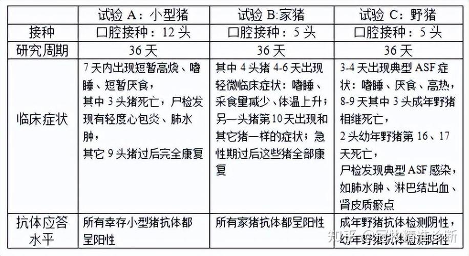 非洲猪疫情最新消息，预防与应对指南