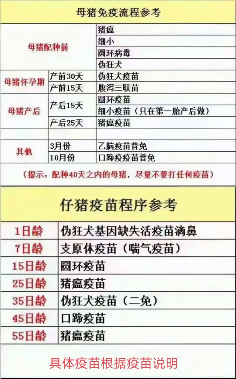 非洲猪疫情最新消息,预防与应对指南